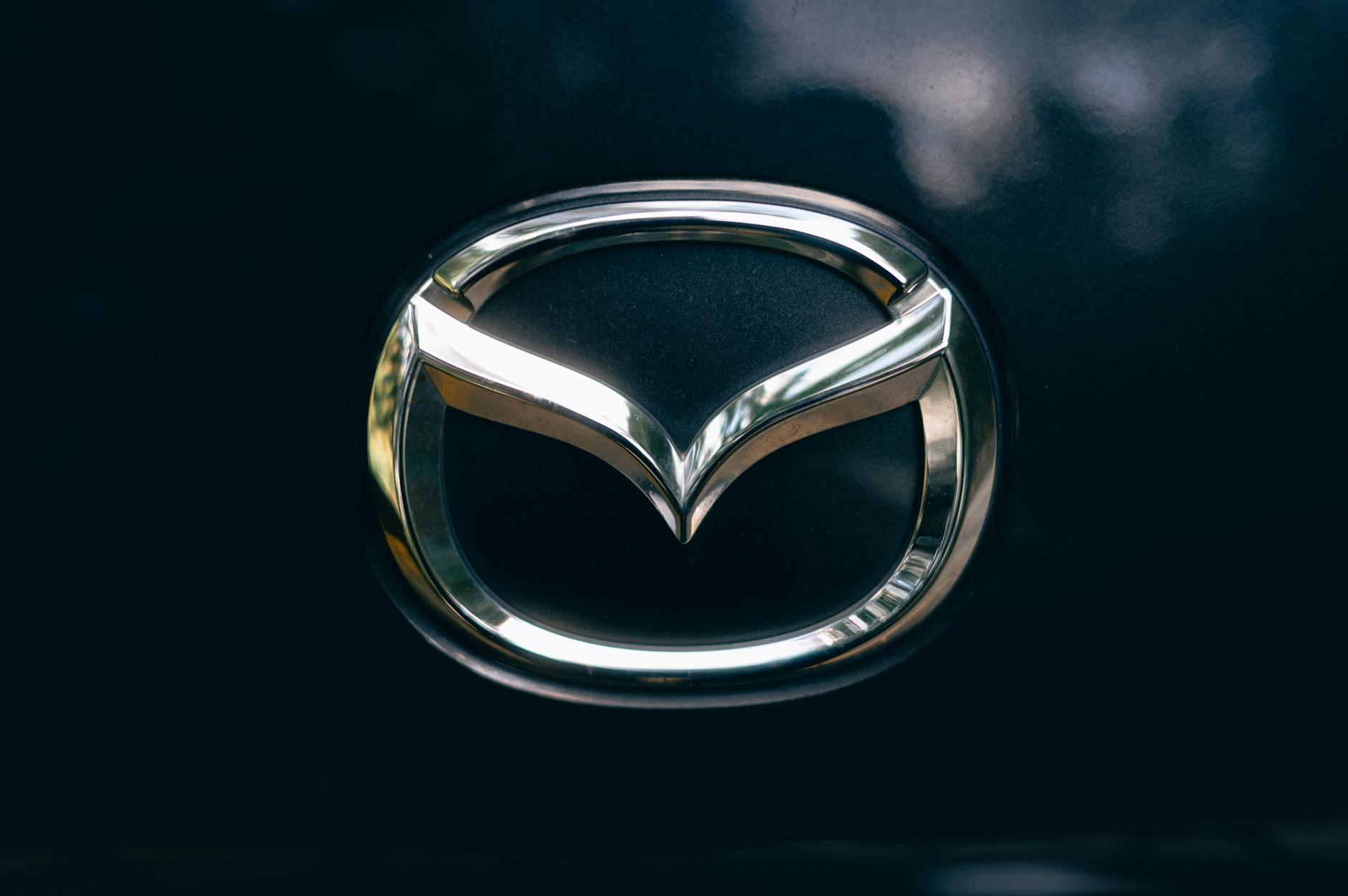 Jasa Desain Logo Profesional Banyumas